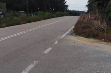FOR SALE - 8 ACRES OIL PALM TREE LAND @ LAYANG LAYANG, JOHOR